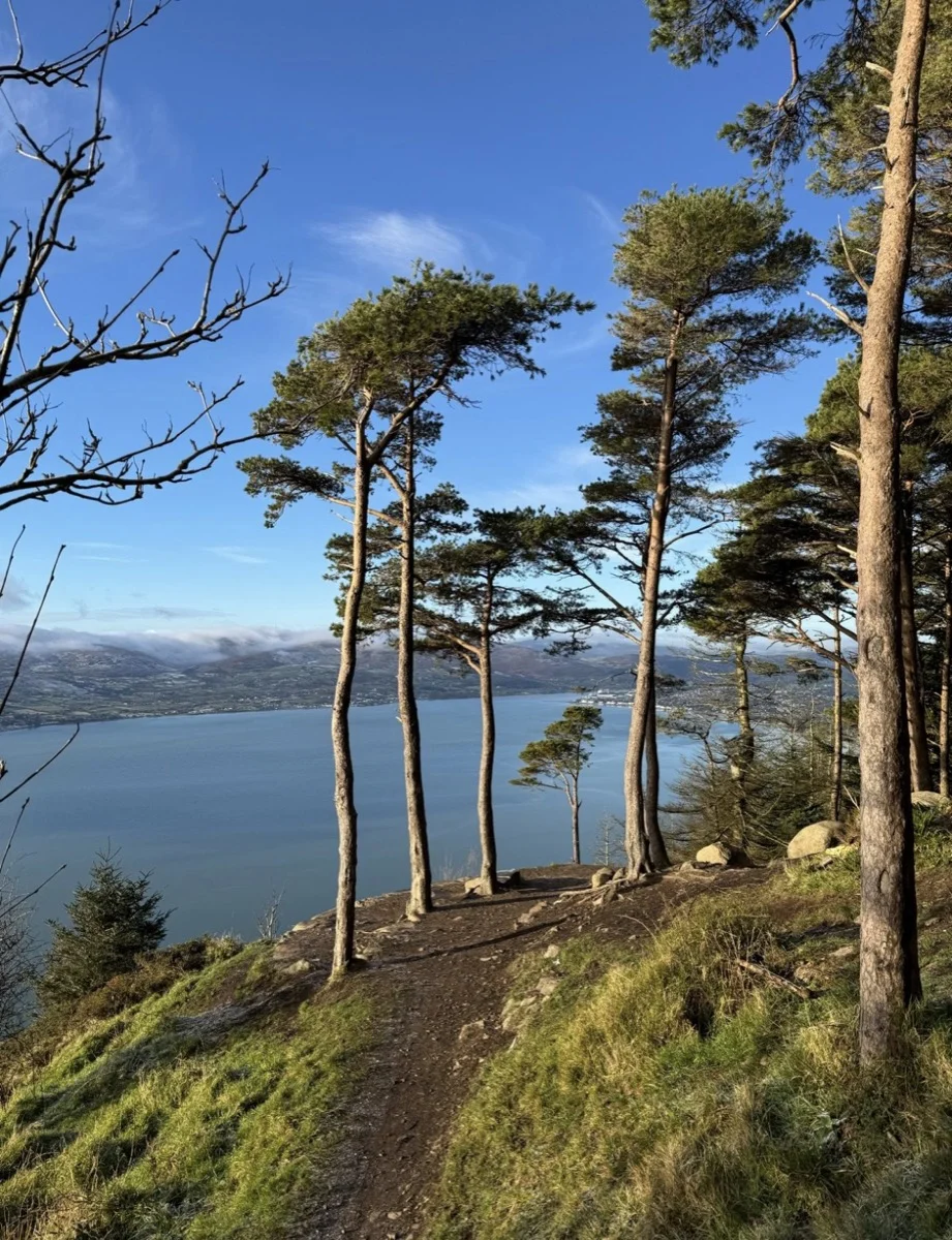 Mourne Mountains